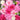Square Box - Baby Blessings - Pinks - Wolf & Wilde